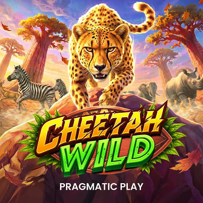 Cheetah Wild